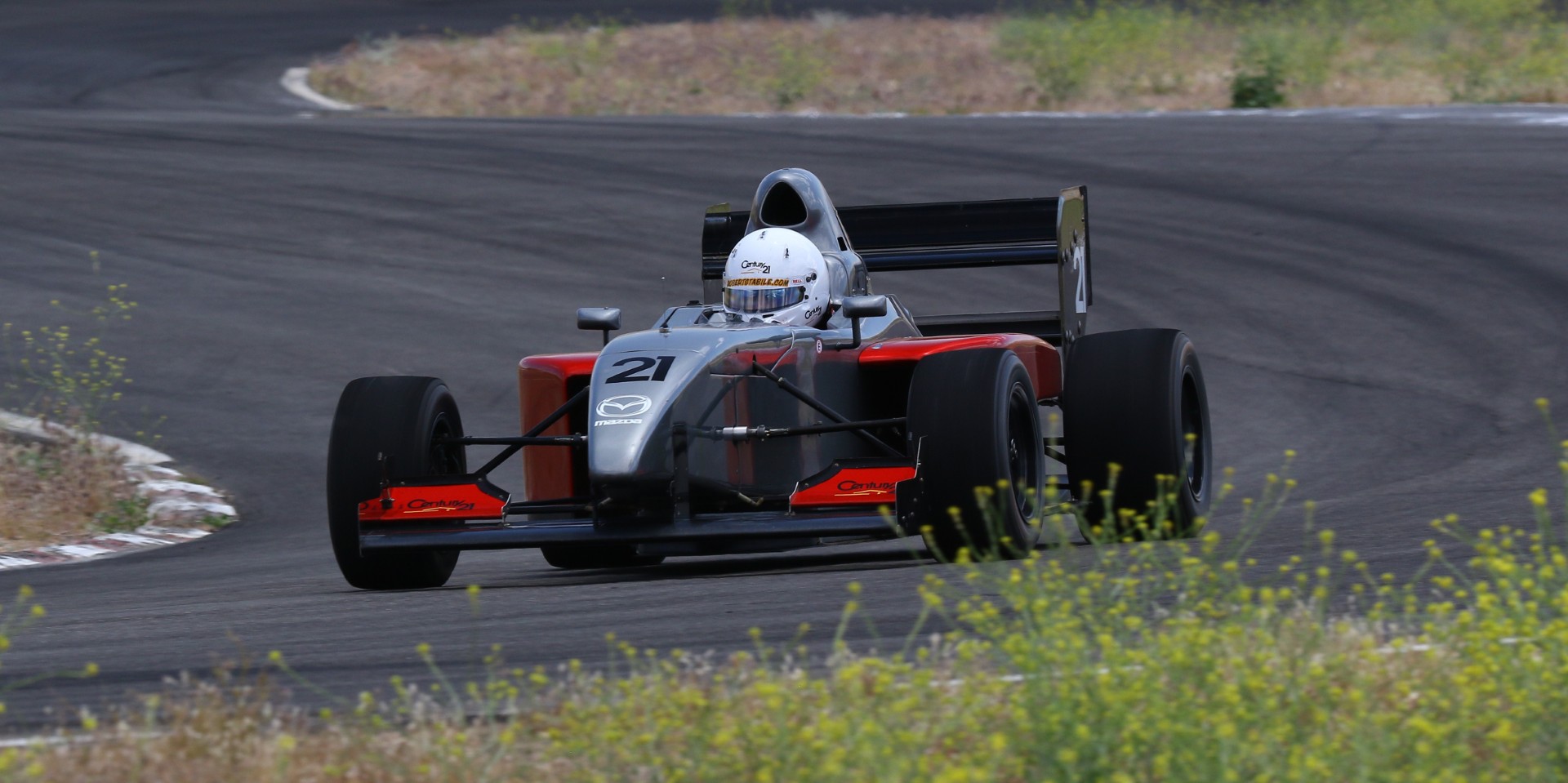 thumbnail_Cropped- Willow- 5-15-24